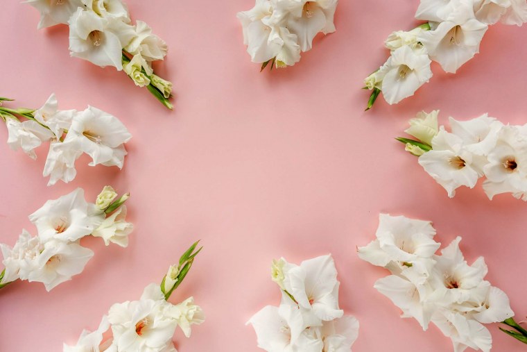 Цветы гладиолусы