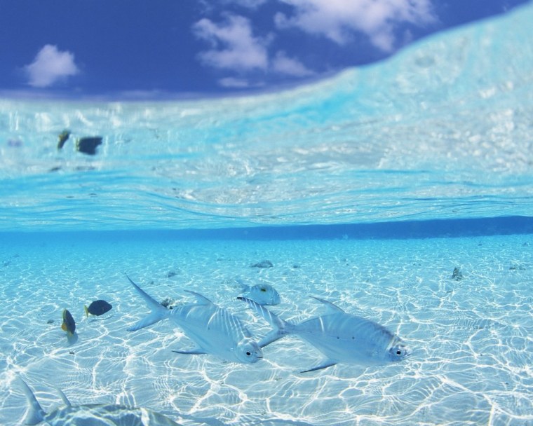 Текстура воды