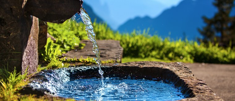 Цветы на фоне воды