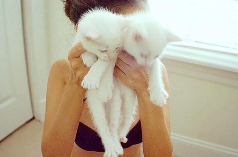 Брюнетка с котом