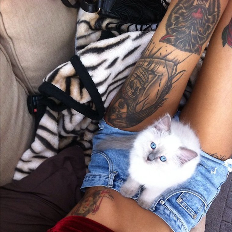 Блондинка с рыжим котом