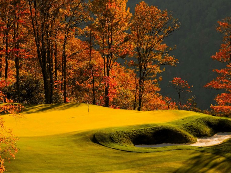 Клён японский