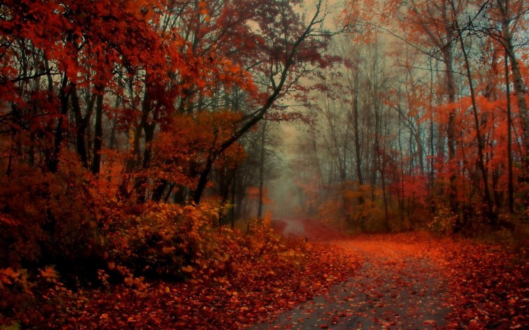 Мост Нью Йорк Центральный парк