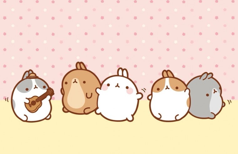 Корейский кролик Моланг