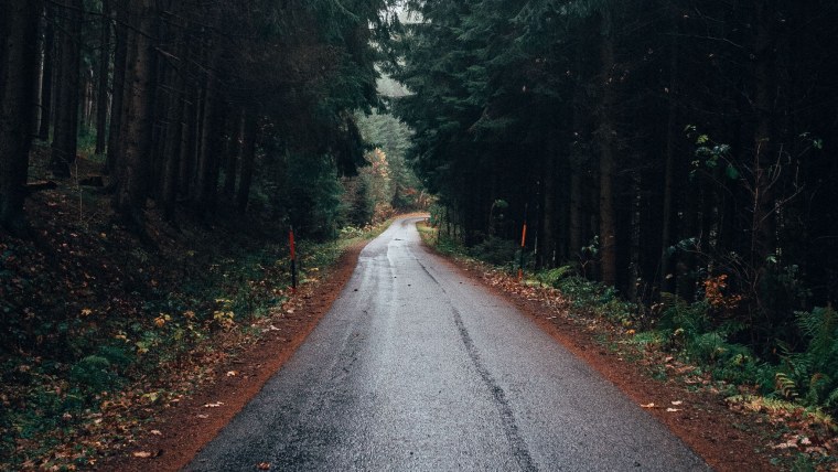 Красивое отражение в луже