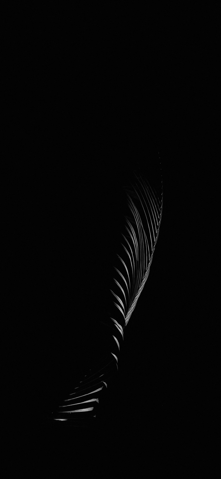 Sony Xperia 1iii обои