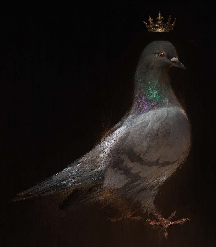 Голубь на аву