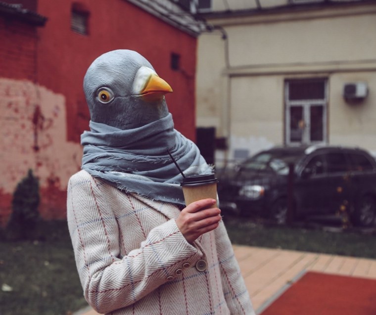 Розовошапочный пёстрый голубь