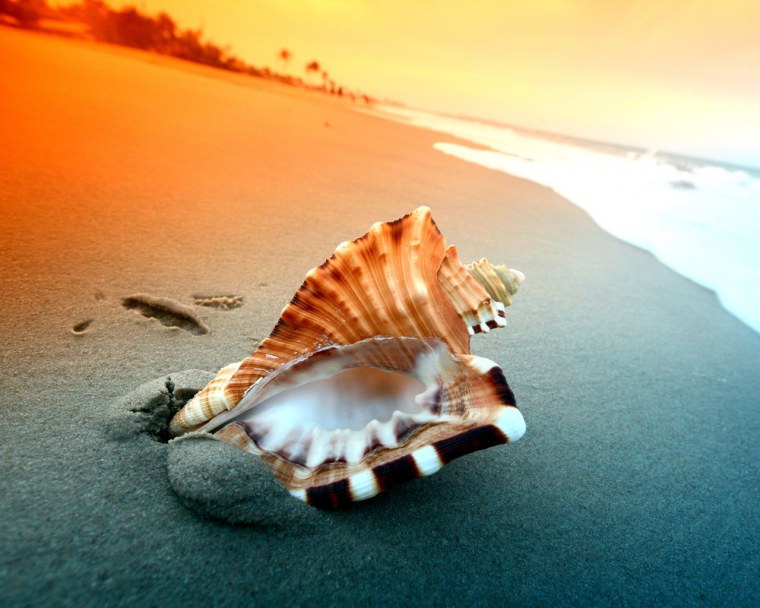 Якорь на фоне моря