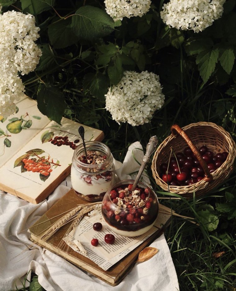 Коричневая бабочка Эстетика