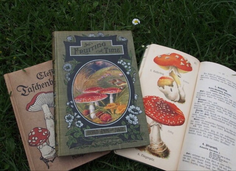 Гоблин кор Эстетика