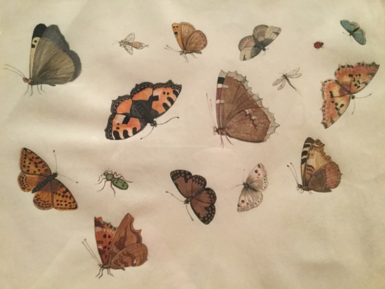 Goblincore и cottagecore