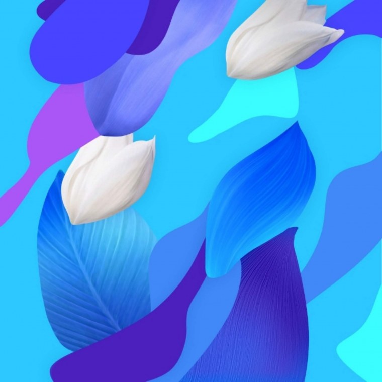 Обои ASUS Zenfone