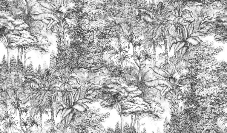 Обои черно белые тропики