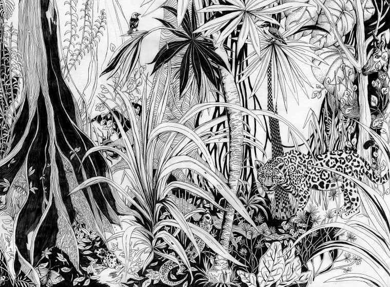 Гравюра тропики