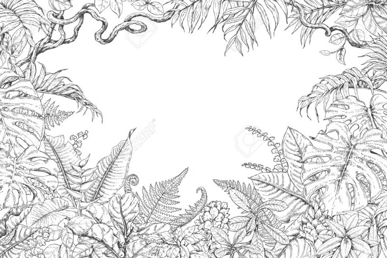 Детская комната с обоями джунгли