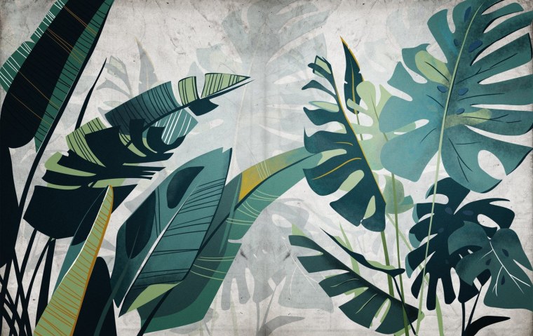 Komar imagine Amazonia