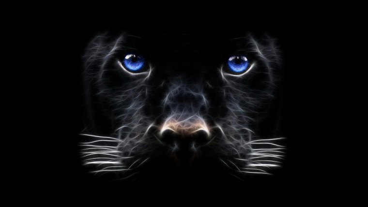 Пантера с гривой