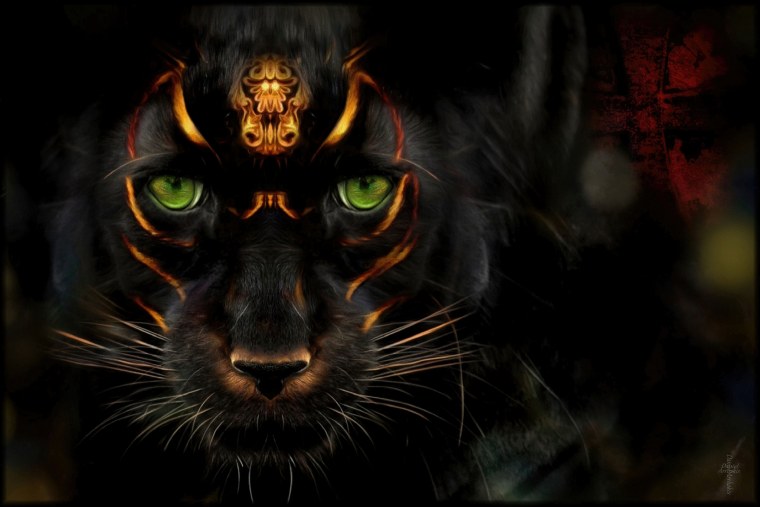 Пантера на черном фоне