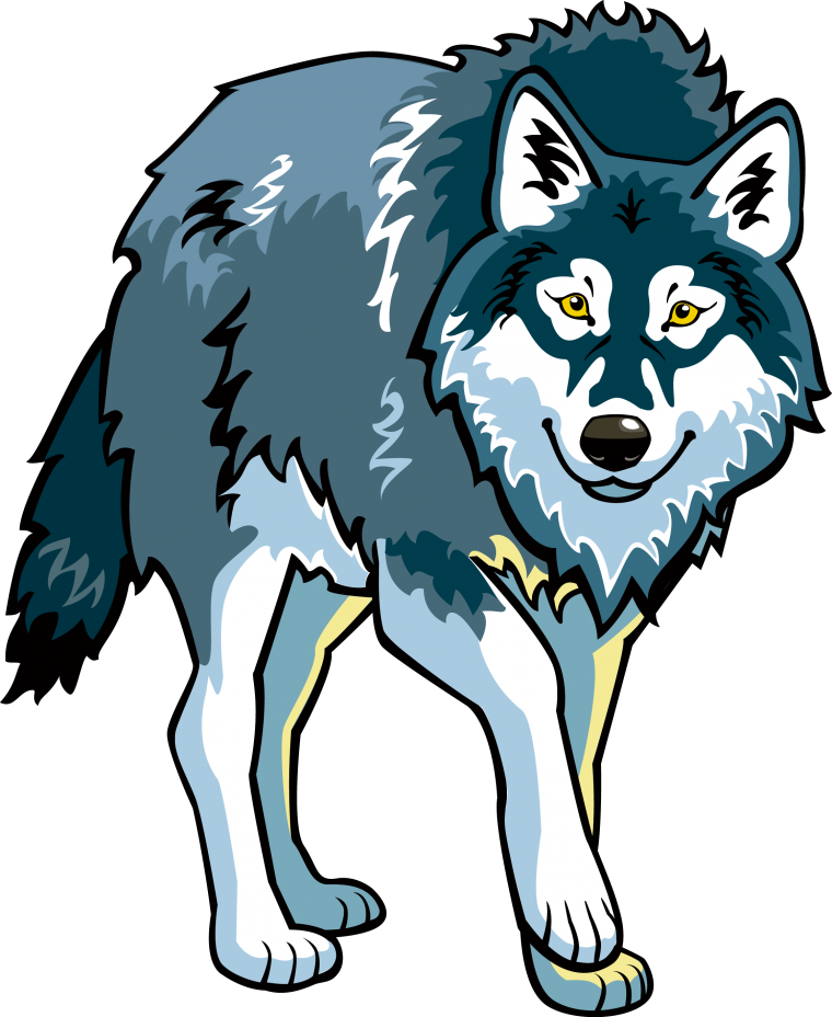 Очень красивый волк