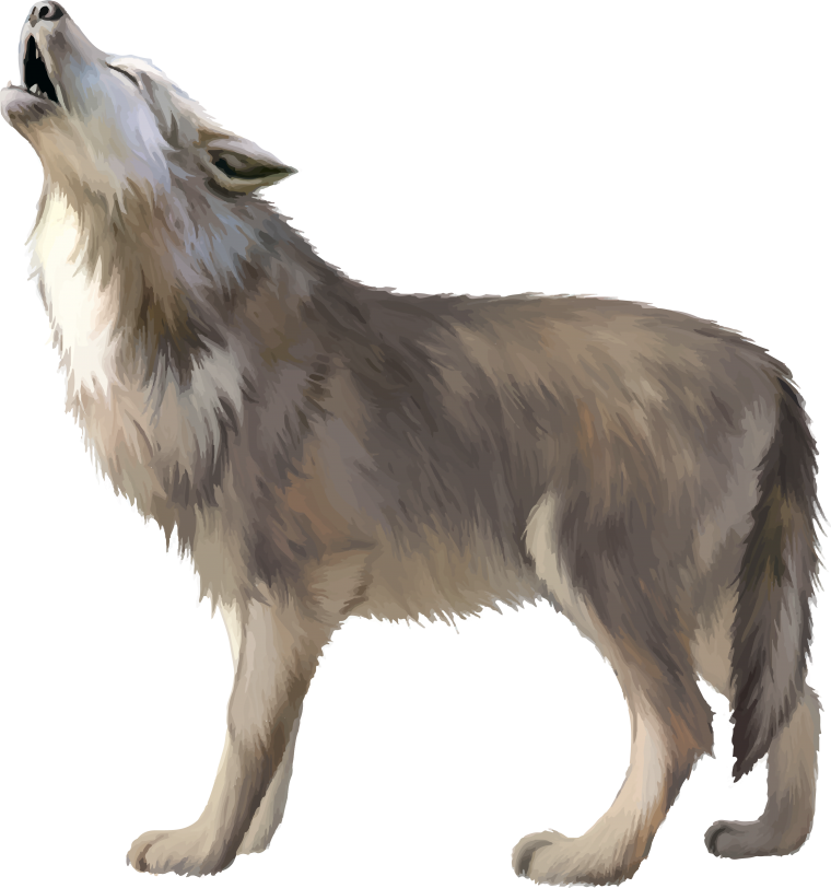 Волк для детского сада