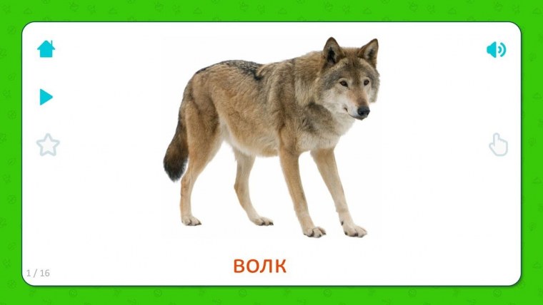 Волчок волк Волчонок