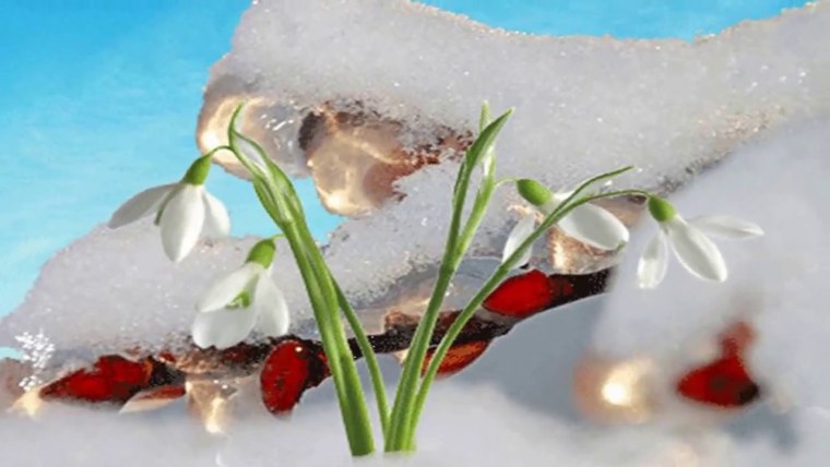 С последним днем ансны