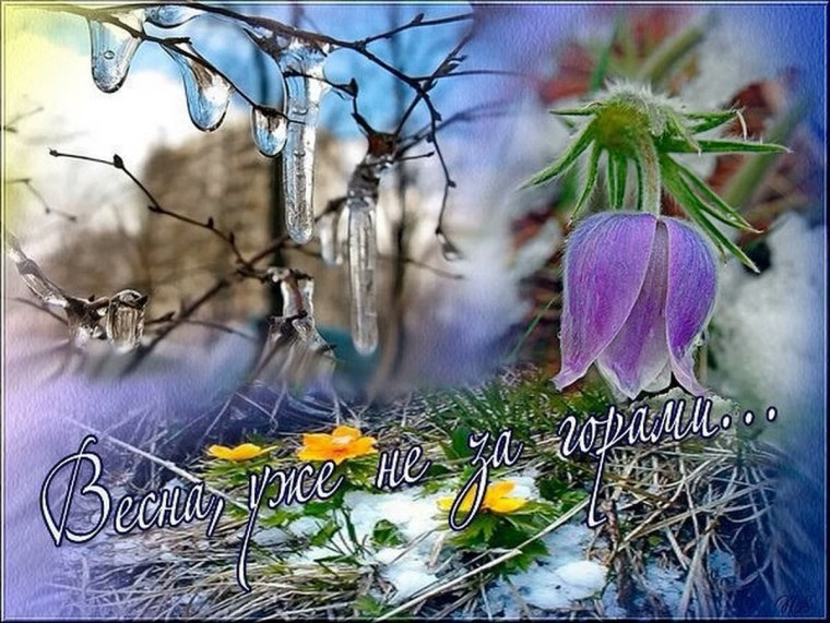 Февраль скоро Весна