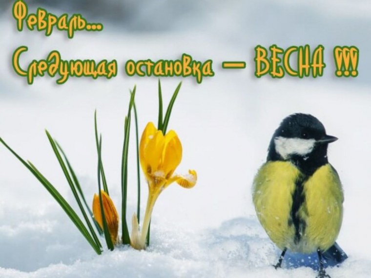 Открытки цветы на снегу