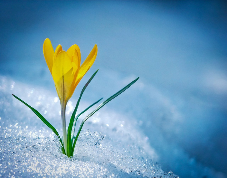 С праздником весны