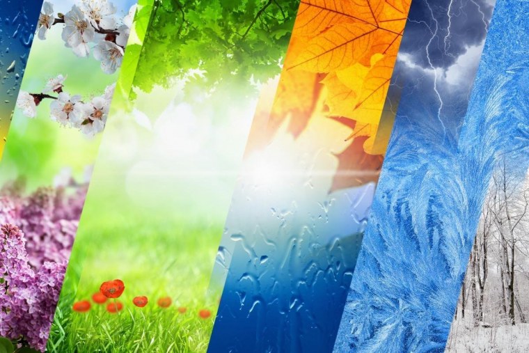 Поляна в лесу