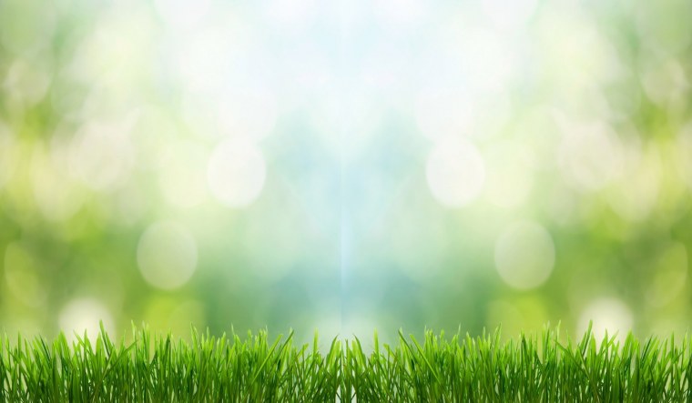 Экология фон