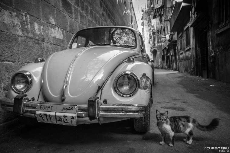 Авто черно белое