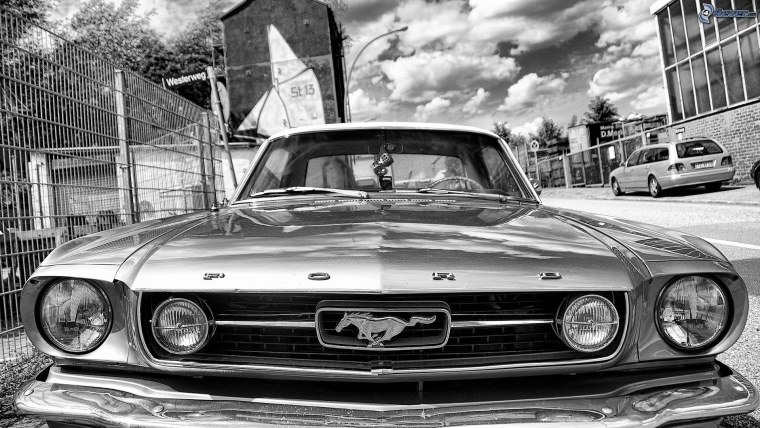 Машина ягуара черно белое