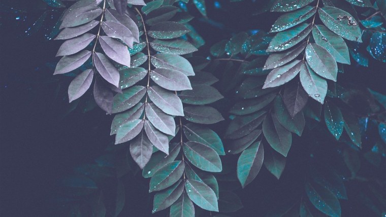 Фон из пинтереста Эстетика