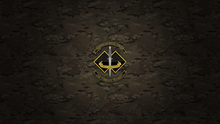 Флаг пограничных войск ФСБ