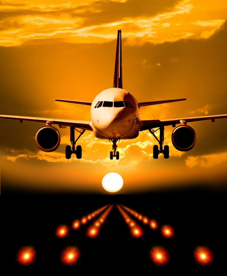 Пилот миг 29