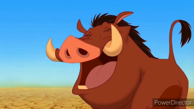 Тимон и Пумба с днем рождения