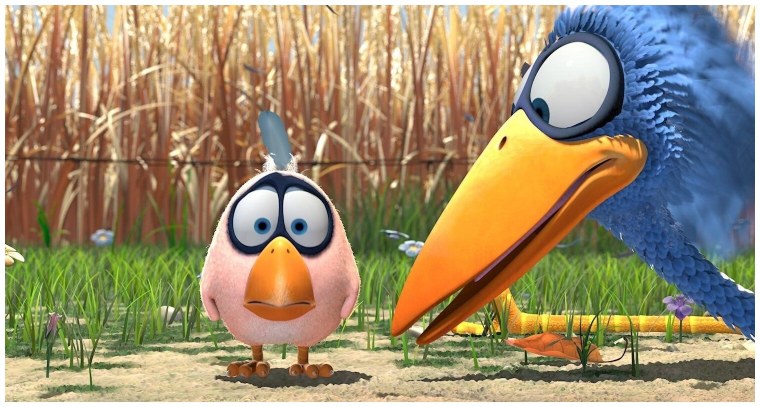 Шутки про птиц смешные