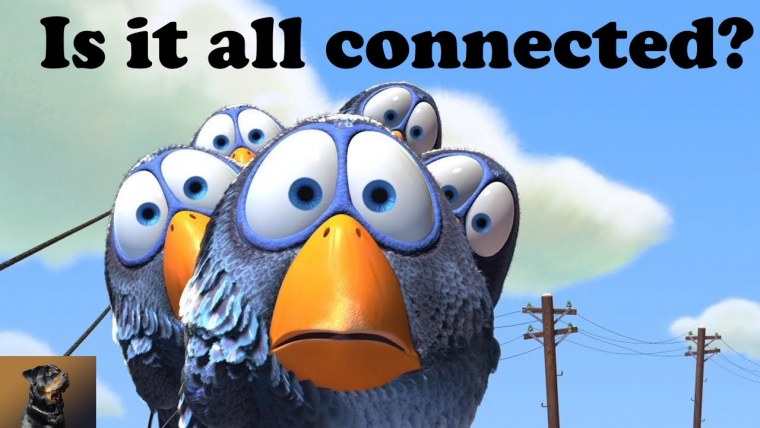 О птичках мультфильм