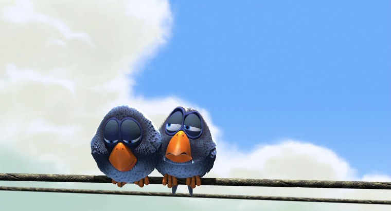 Птицы из мультфильмов