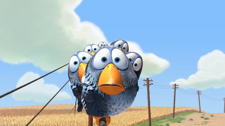 Короткометражка птицы