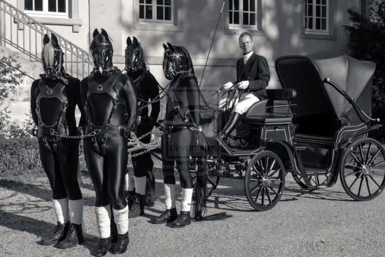 Мужчина в упряжке