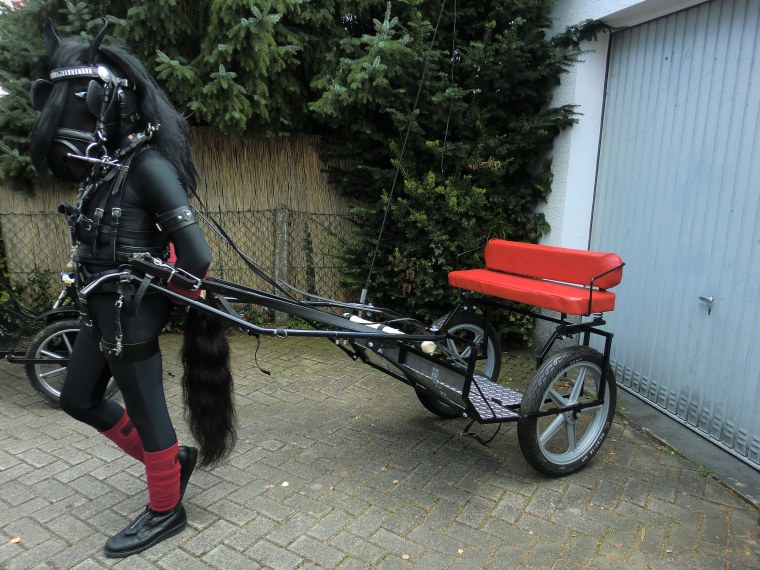 Ponyplay Cart