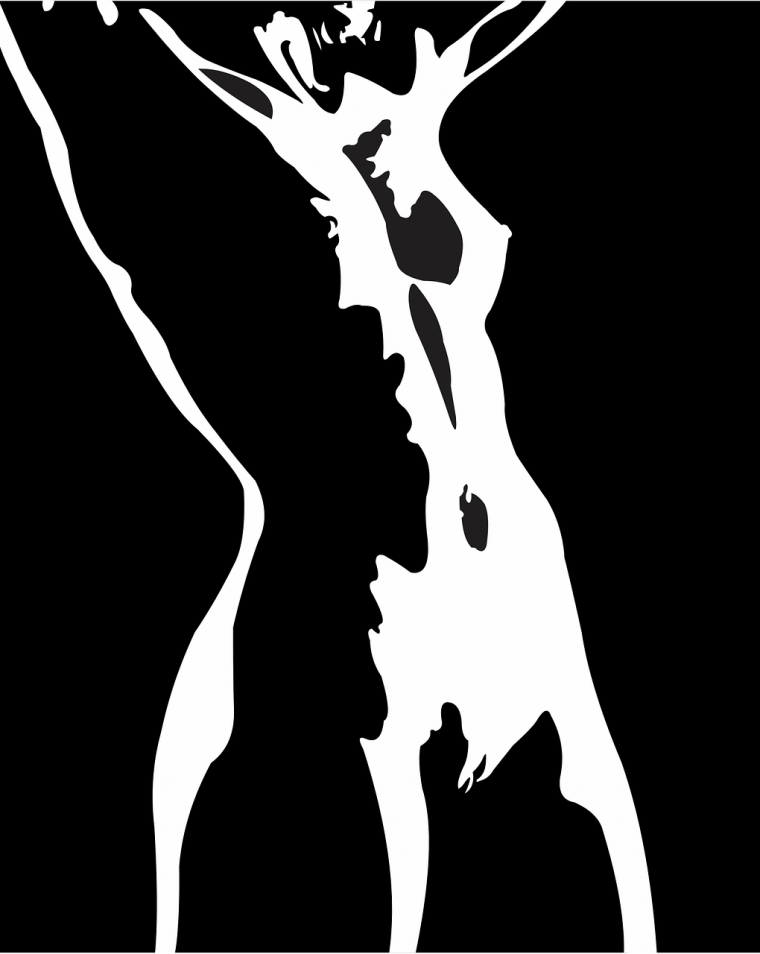 Черно белые силуэты