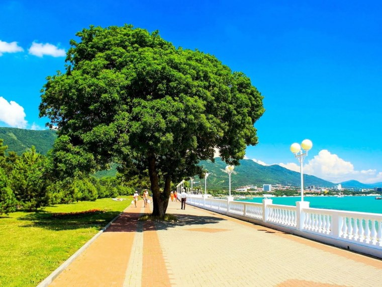 Геленджик бухта горы