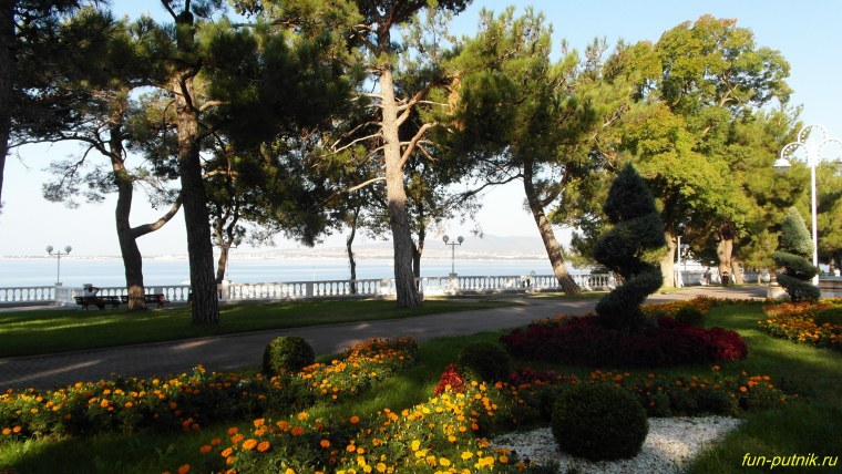 Каменистый пляж в Анапе