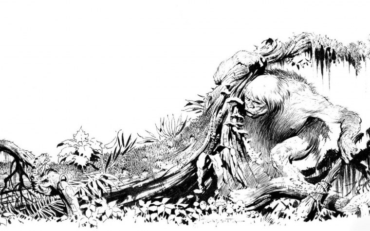 Иллюстрации Фрэнка Фразетты