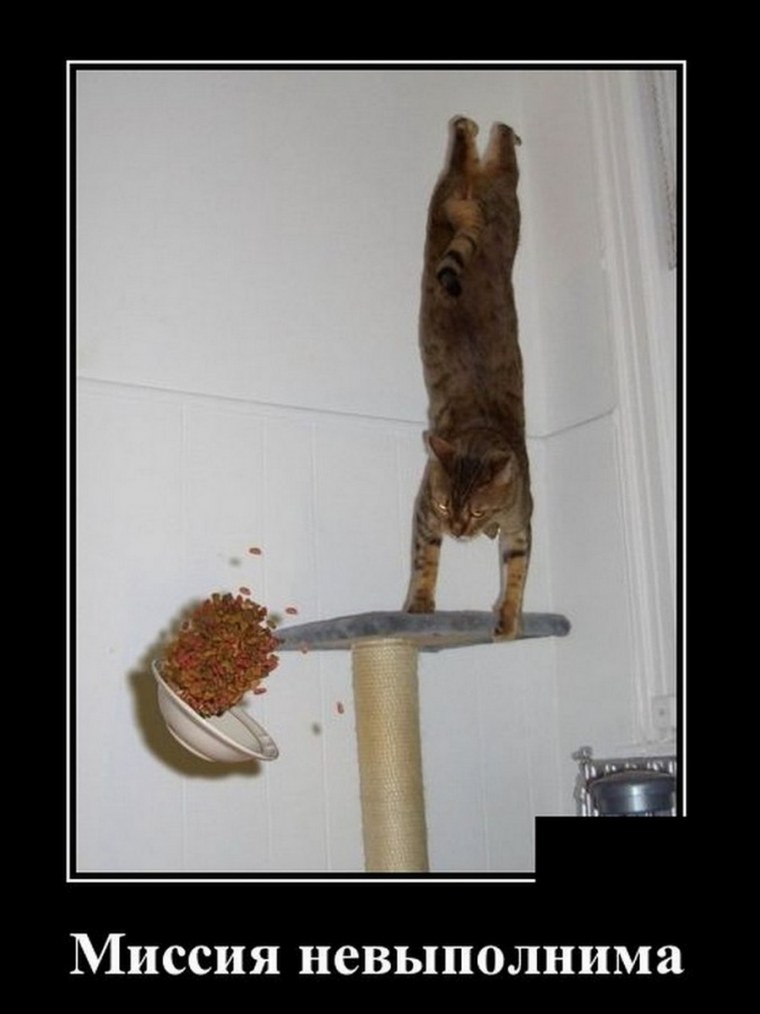 Миссия невозможна но выполнима