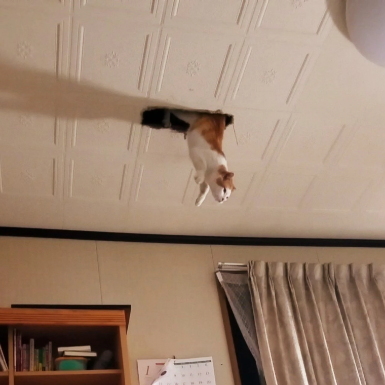 Бессмысленная работа